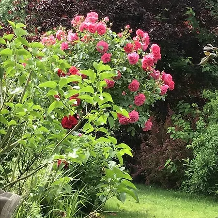 Nordsee-lilie Δωμάτια σε οικογενειακή κατοικία *